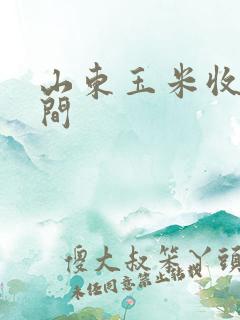 山东玉米收割时间