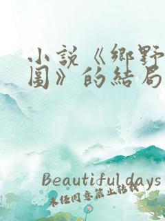 小说《乡野美人图》的结局