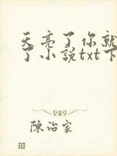 天亮了你就回来了小说txt下载