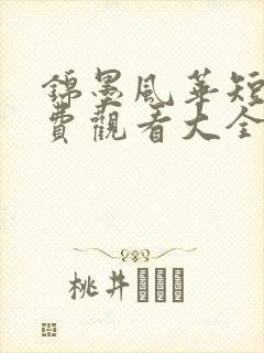 锦墨风华短剧免费观看大全