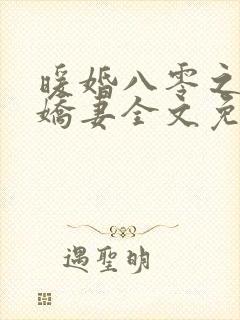 暖婚八零之全能娇妻全文免费阅读