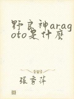野良神aragoto是什么