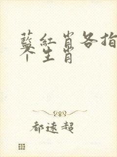 蓝红肖各指哪几个生肖