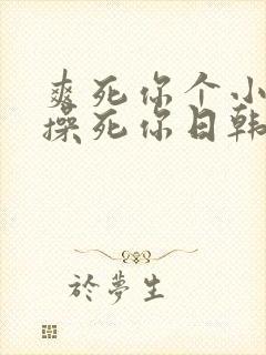 爽死你个小骚货操死你日韩