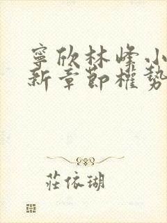 宁欣林峰小说最新章节权势滔天