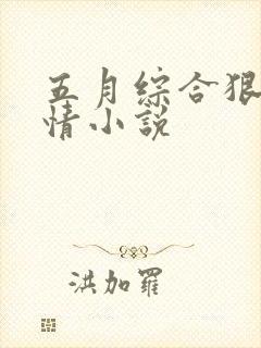 五月综合狠狠激情小说