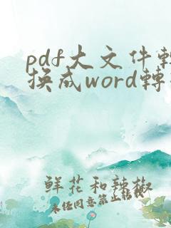 pdf大文件转换成word转换器