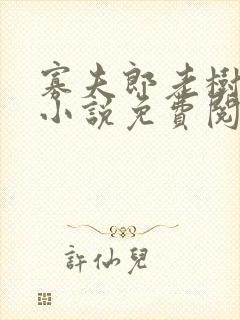寡夫郎老树青藤小说免费阅读