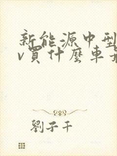 新能源中型suv买什么车最好