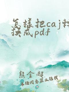 怎样把caj转换成pdf