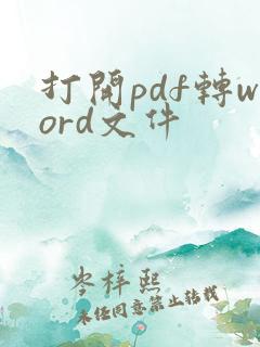 打开pdf转word文件