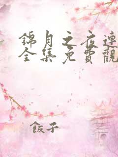 锦月之夜连续剧全集免费观看