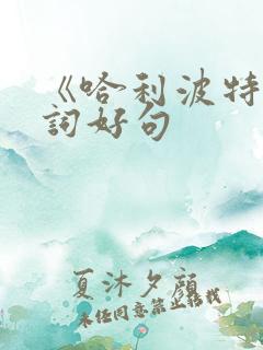 《哈利波特》好词好句
