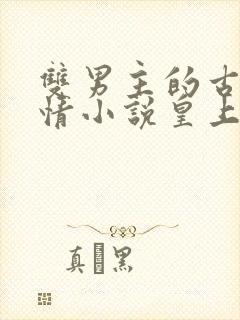 双男主的古代言情小说皇上和摄政王
