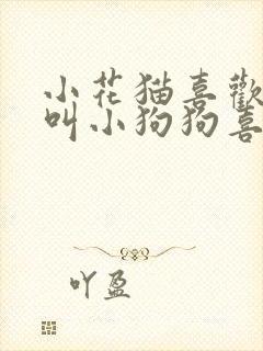 小花猫喜欢喵喵叫小狗狗喜欢汪汪叫