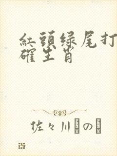 红头绿尾打一正确生肖