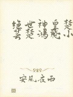 绝世神皇楚风楚芸楚鸿飞小说