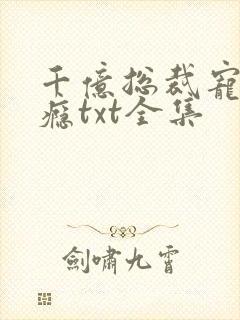 千亿总裁宠妻上瘾txt全集