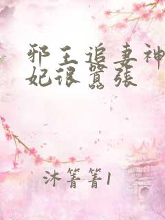 邪王追妻神医狂妃很嚣张
