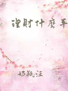 理财什么平台