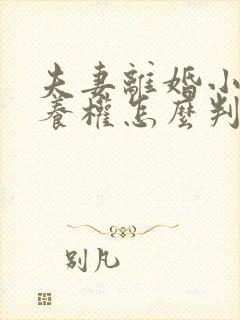 夫妻离婚小孩抚养权怎么判