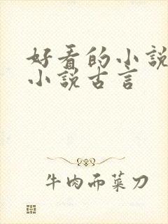 好看的小说言情小说古言