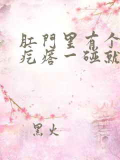 肛门里有个小硬疙瘩一碰就疼
