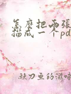 怎么把两张纸扫描成一个pdf文件