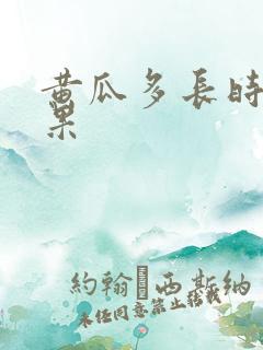 黄瓜多长时间结果