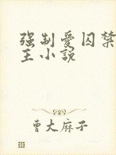 强制爱囚禁双男主小说