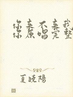 你来不来我都等你原唱完整版