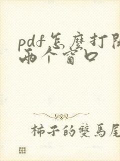 pdf怎么打开两个窗口
