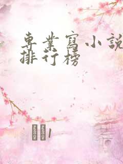 专业写小说软件排行榜
