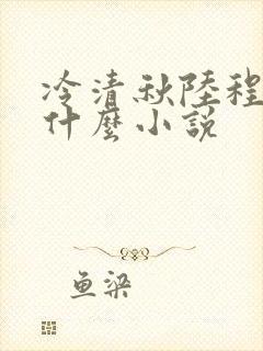 冷清秋陆程文是什么小说