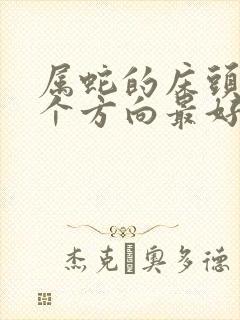 属蛇的床头朝哪个方向最好