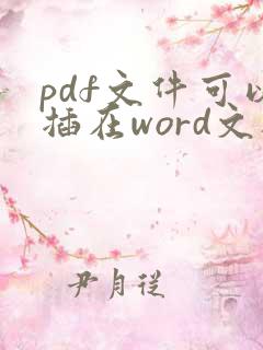 pdf文件可以插在word文档里面吗