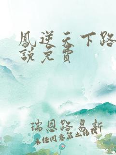 凤逆天下路非小说免费