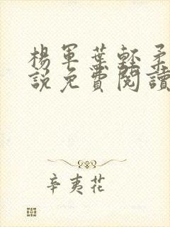 杨军叶轻柔的小说免费阅读无弹窗