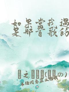 如果当我遇见你是哪首歌的歌词