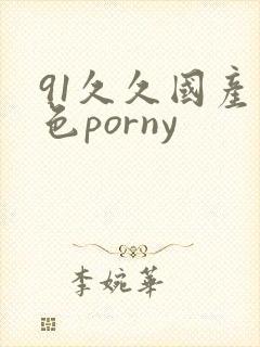 91久久国产九色porny