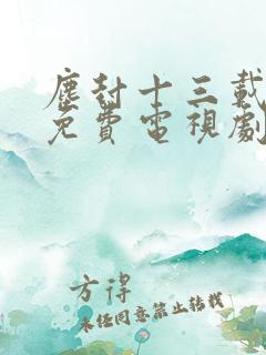 尘封十三载在线免费电视剧
