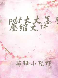 pdf太大怎么压缩文件