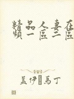 精品人妻在线视频一区二区