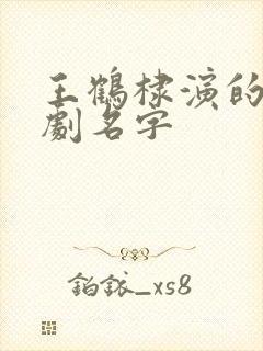 王鹤棣演的电视剧名字
