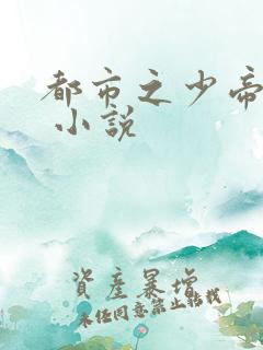 都市之少帝归来 小说