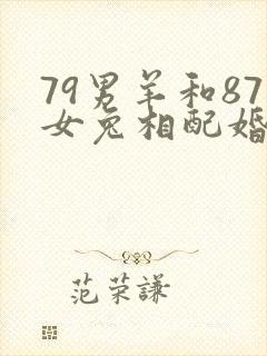 79男羊和87女兔相配婚姻如何呢