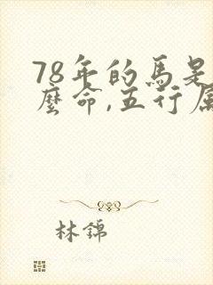 78年的马是什么命,五行属性