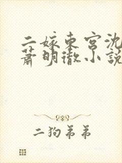 二嫁东宫沈雨燃萧明彻小说免费阅读全文