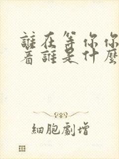 谁在等你你在等着谁是什么歌