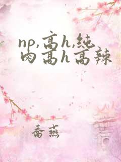 np,高h,纯肉高h高辣